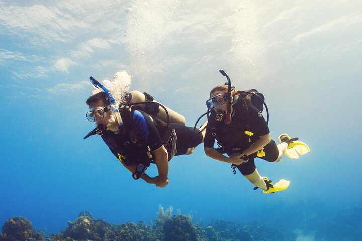 Half Day Scuba Diving Course enjoy Pool and Beach Dive Adventure - Photo 1 of 4
